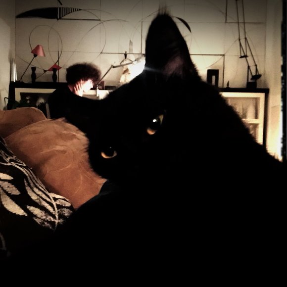 Meet your Posher, Ana - Picture 1 of 1